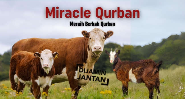 Infak Keajaiban Qurban Insan Mandiri